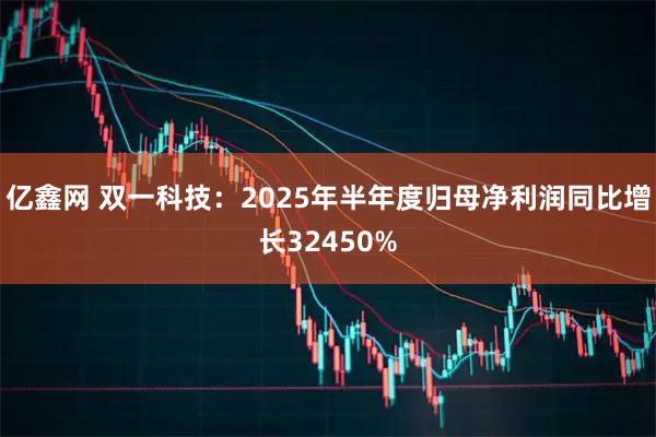 亿鑫网 双一科技：2025年半年度归母净利润同比增长32450%
