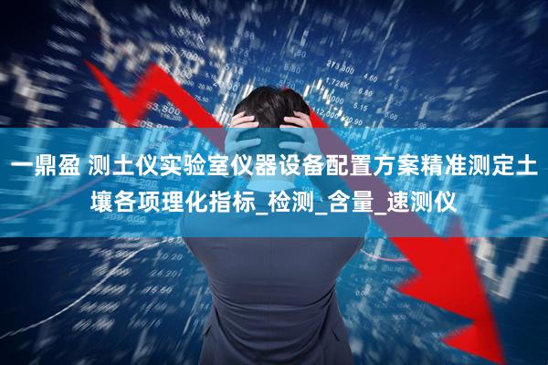 一鼎盈 测土仪实验室仪器设备配置方案精准测定土壤各项理化指标_检测_含量_速测仪
