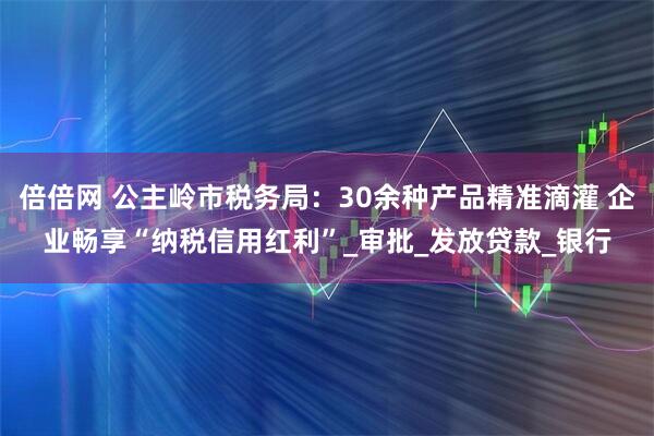 倍倍网 公主岭市税务局：30余种产品精准滴灌 企业畅享“纳税信用红利”_审批_发放贷款_银行